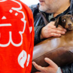 2 1021 20260214foto Arno Mikkor